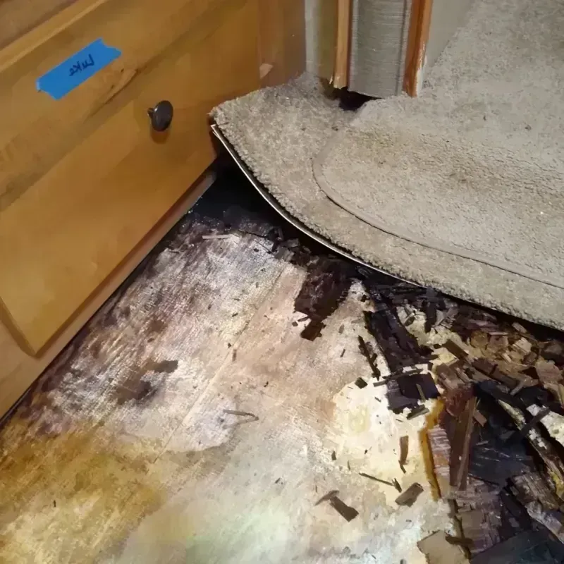 Wood Floor Water Damage in Concordia, NJ